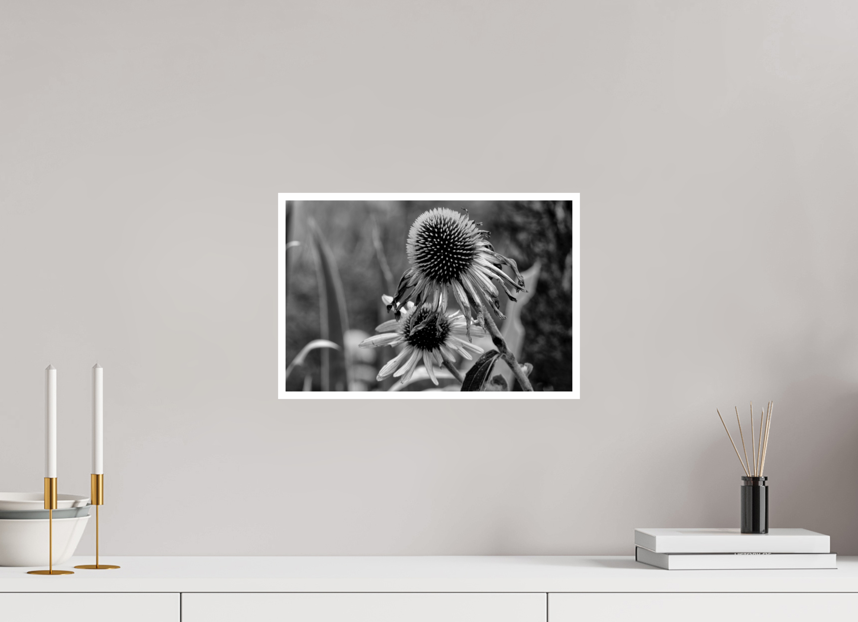 15 x 10″, Ilford Baryta Paper Between Bloom and Shadow