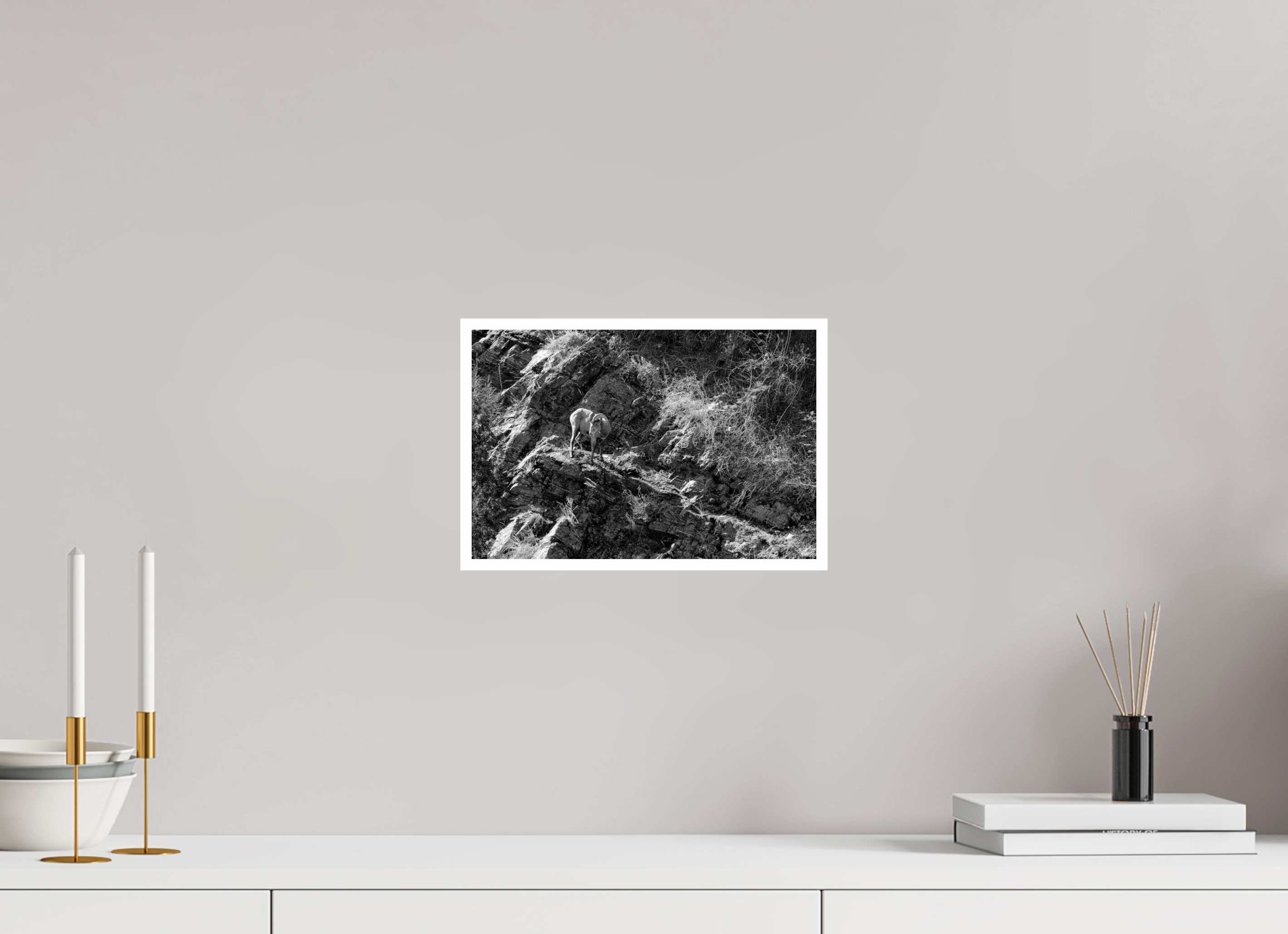 12 x 8″, Ilford Baryta Paper Bighorn sheep on cliff face