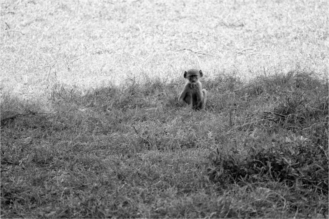 Main image The Small Philosopher