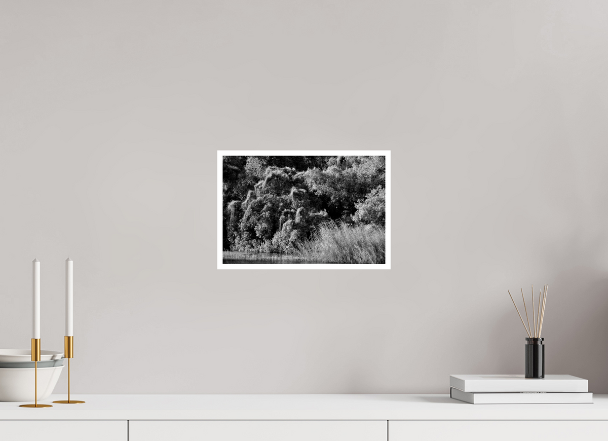 12 x 8″, Ilford Baryta Paper There Be Monsters