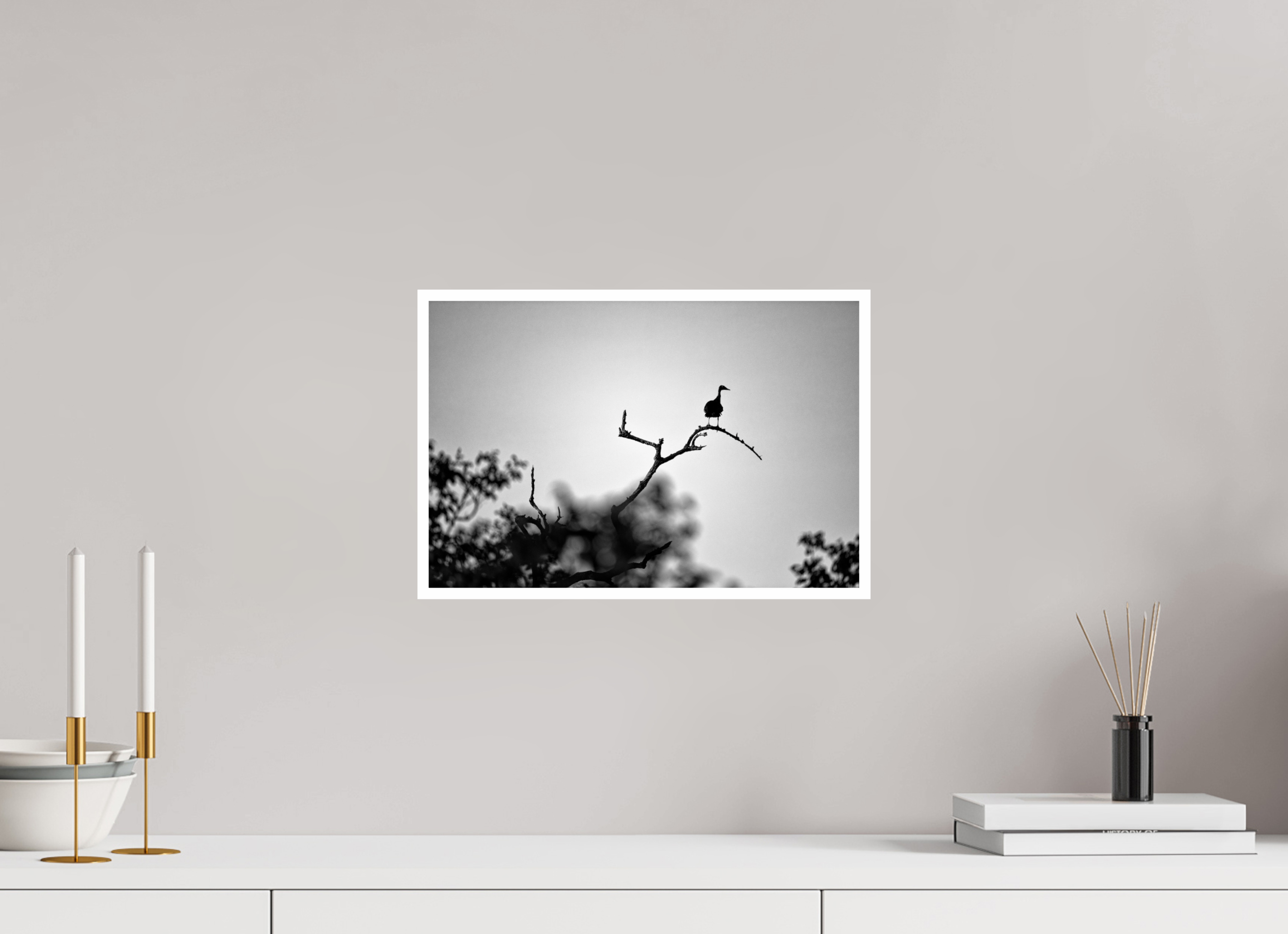 15 x 10″, Ilford Baryta Paper Larsonavis Absurdus