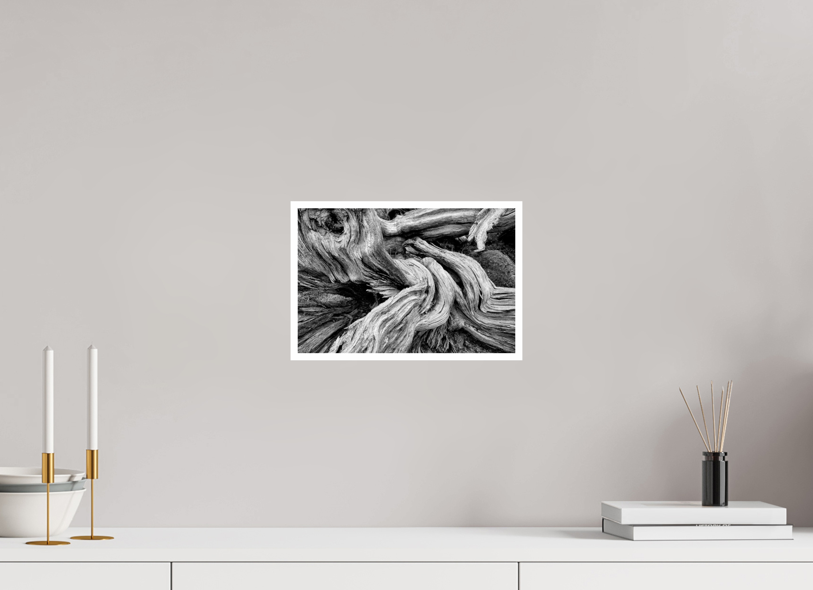 12 x 8″, Ilford Baryta Paper Old Bones