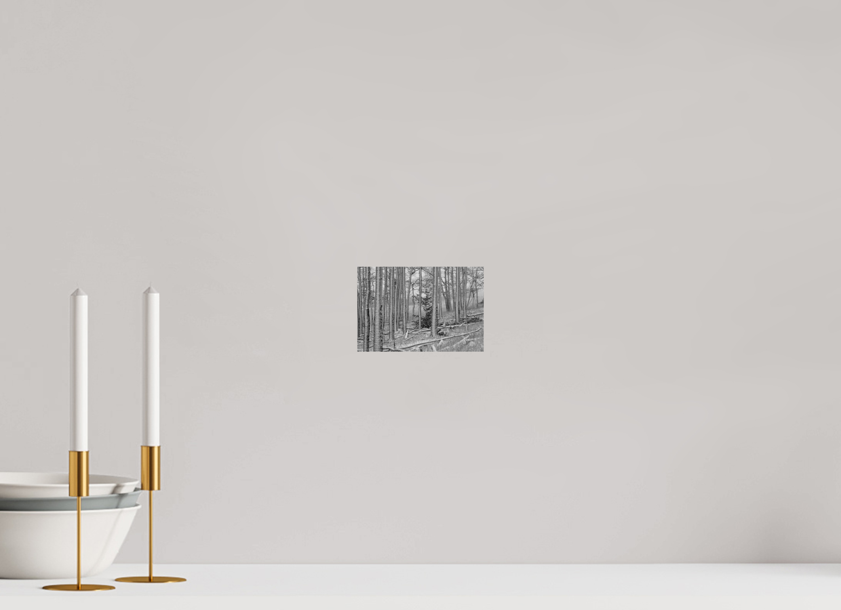 6 x 4″, Ilford B&W On Aluminum: matte Winter's Brush