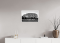 24 x 16″, Ilford Baryta Paper Netherlands Tree Row