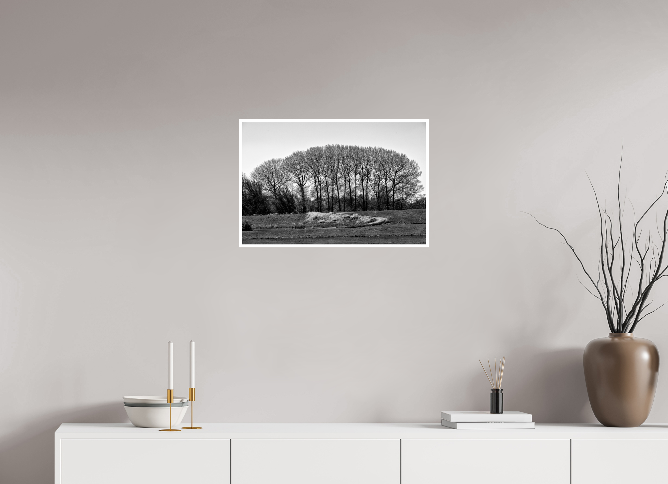 24 x 16″, Ilford Baryta Paper Netherlands Tree Row
