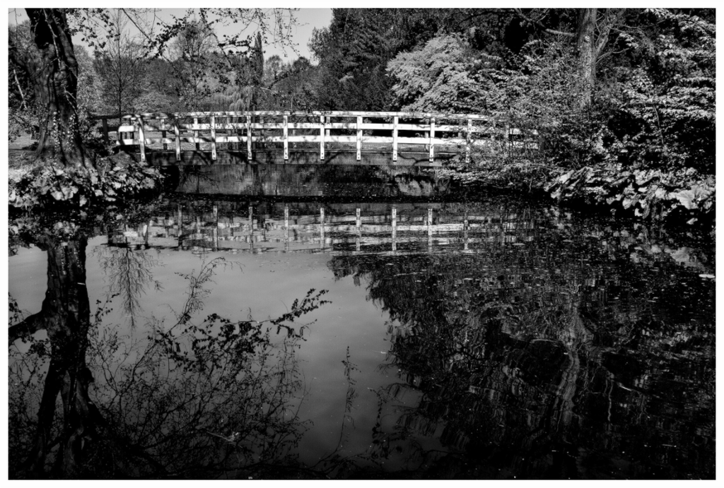 Main image The Quiet Crossing