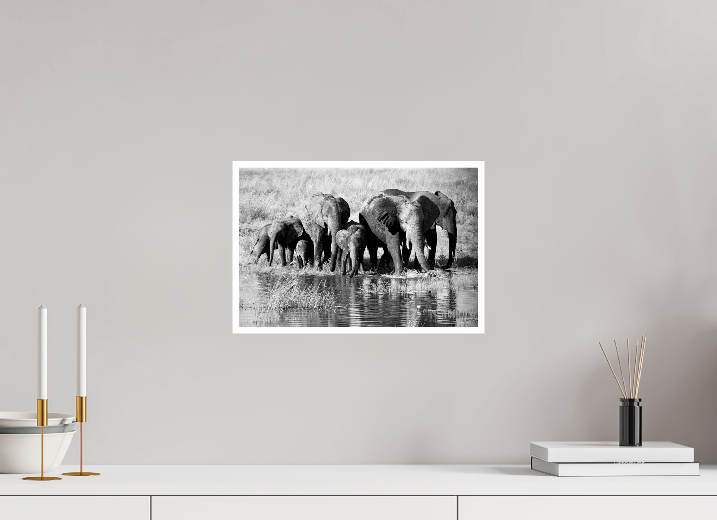 15 x 10″, Ilford Baryta Paper Elephant family