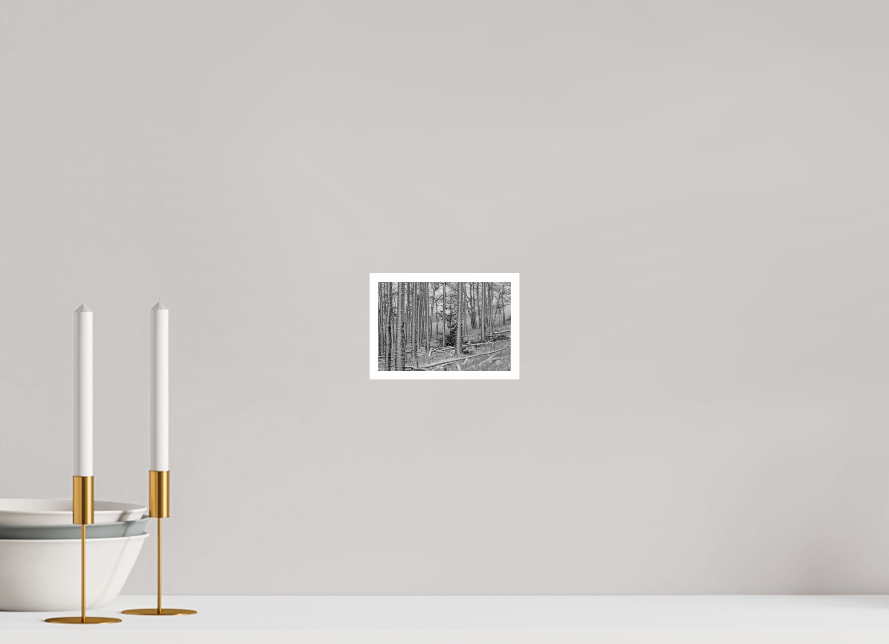 6 x 4″, Ilford B&W Paper: glossy Winter's Brush