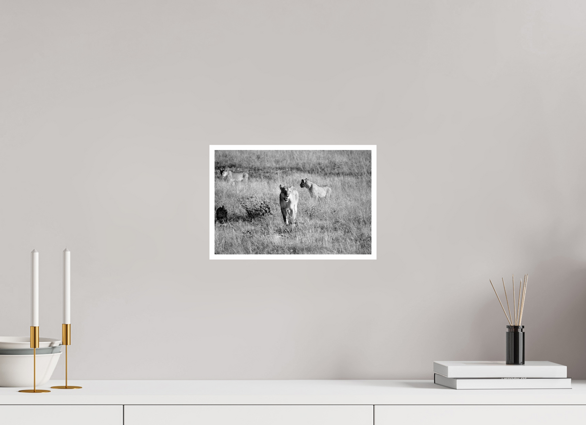 12 x 8″, Ilford Baryta Paper Hide and Seek