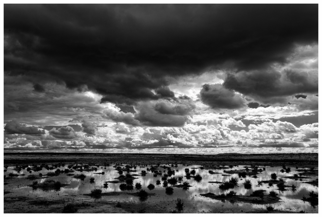 Main image The Desert's Mirror