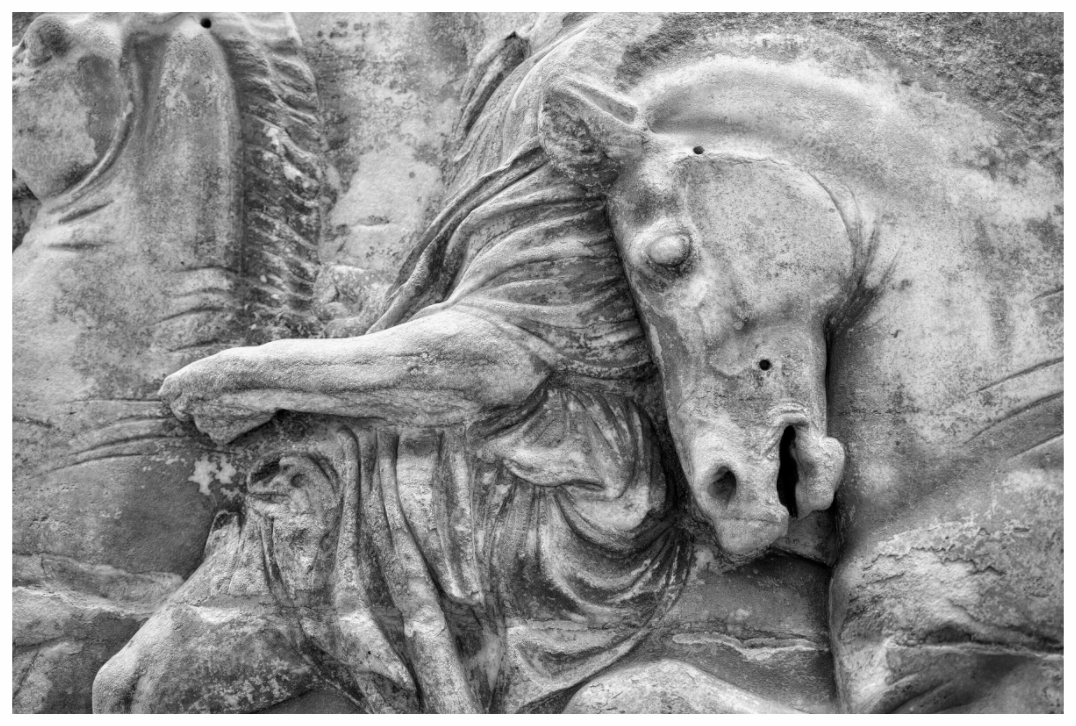 Main image Carved to Outlast Us