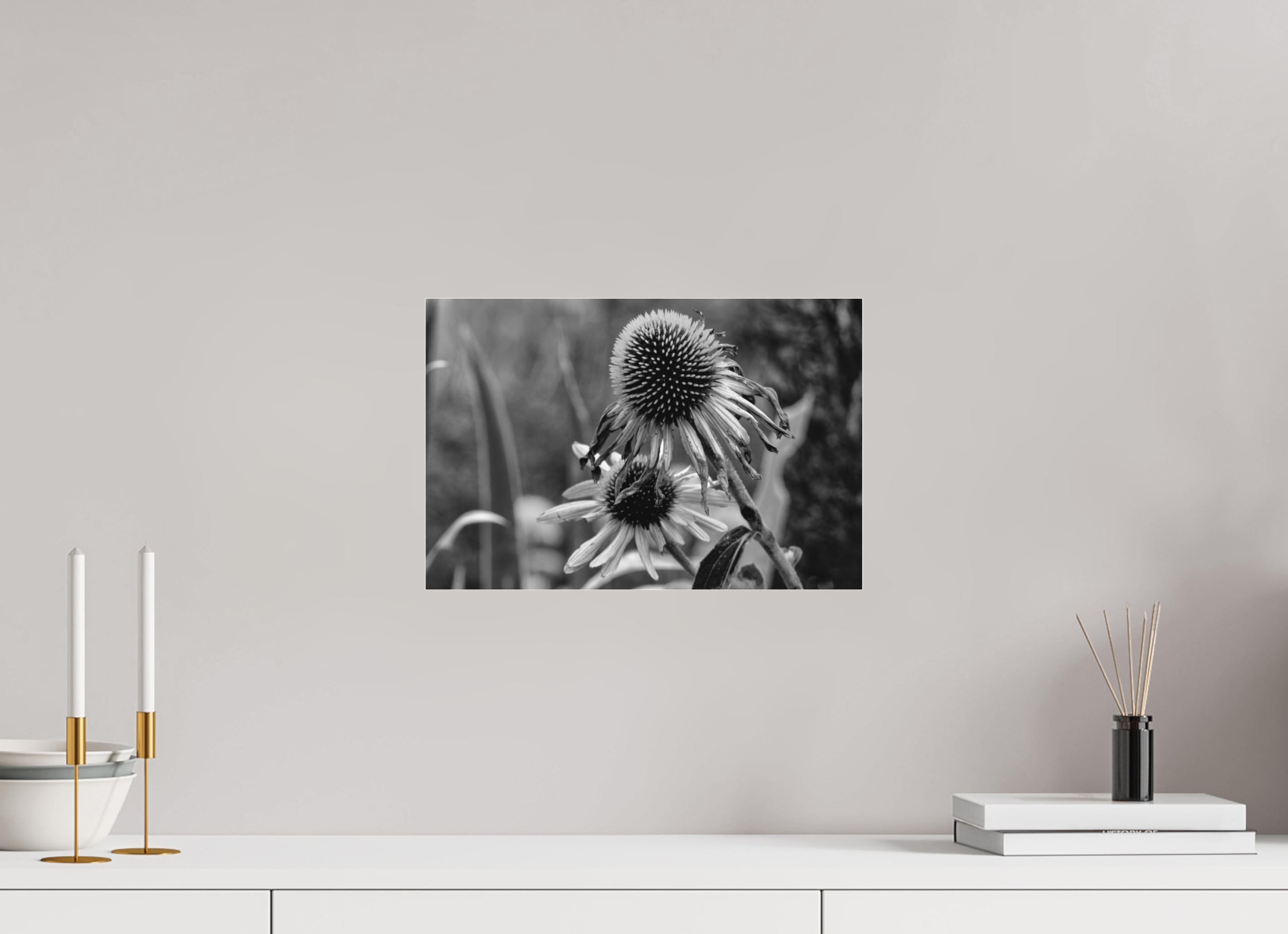 15 x 10″, Ilford B&W Under Acrylic: glossy Between Bloom and Shadow