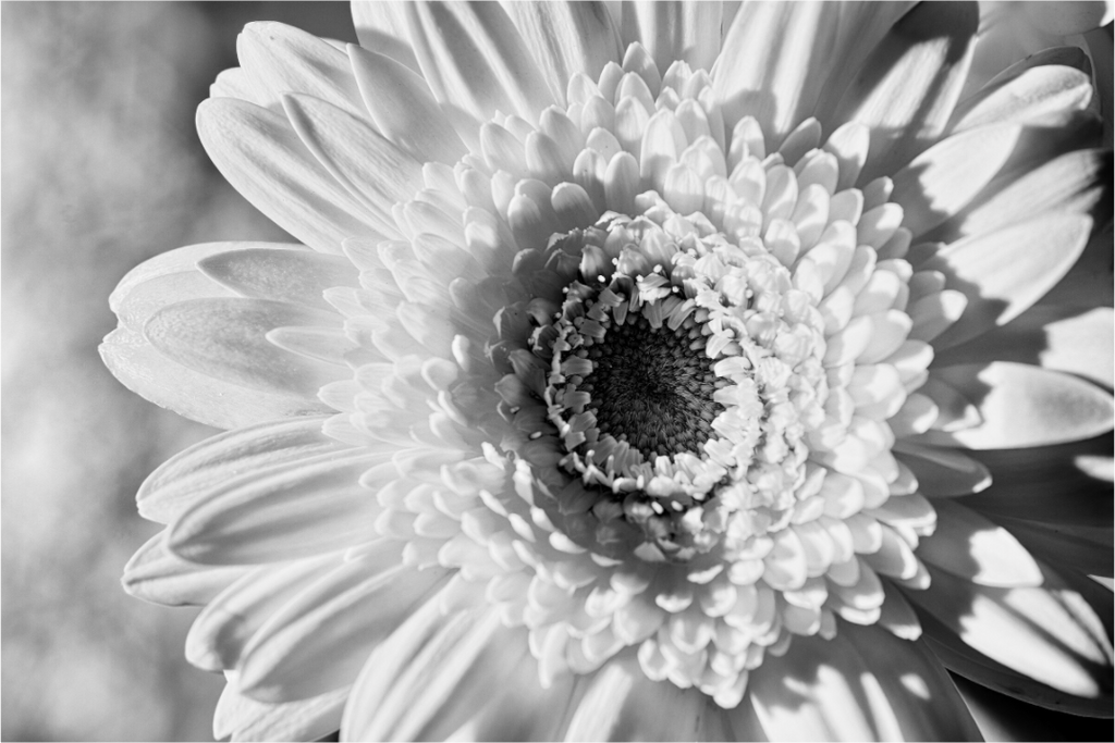 Main image Ethereal Glow