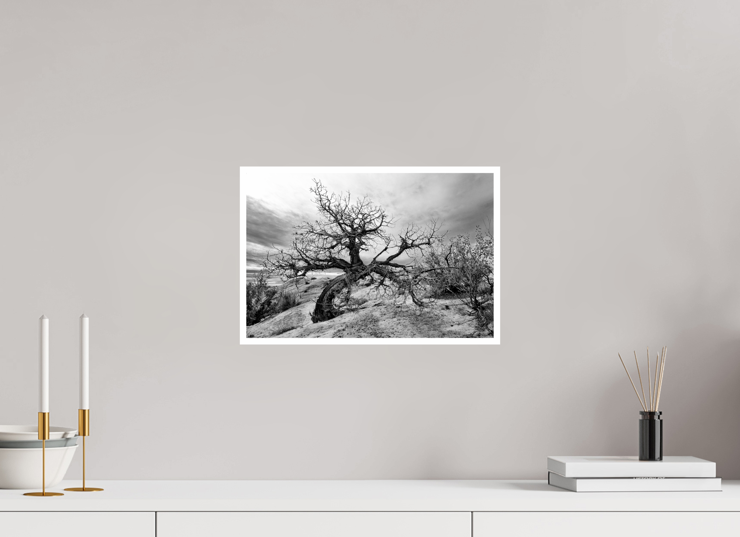 15 x 10″, Ilford Baryta Paper Twisted and Still Standing