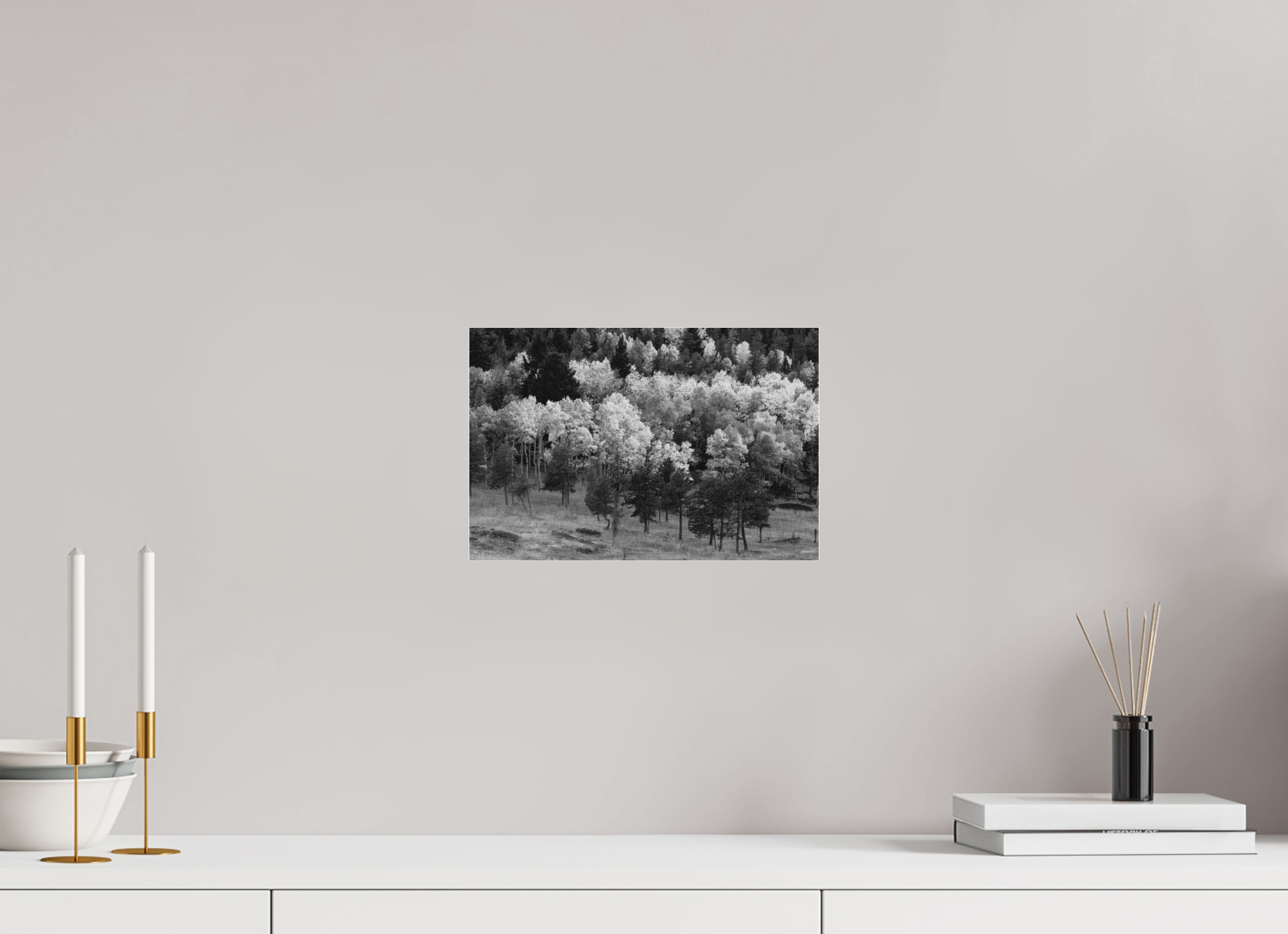 12 x 8″, Ilford B&W Under Acrylic: matte The Season Breathes Light