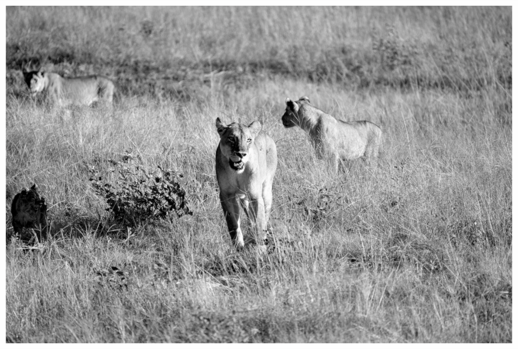 Main image Hide and Seek