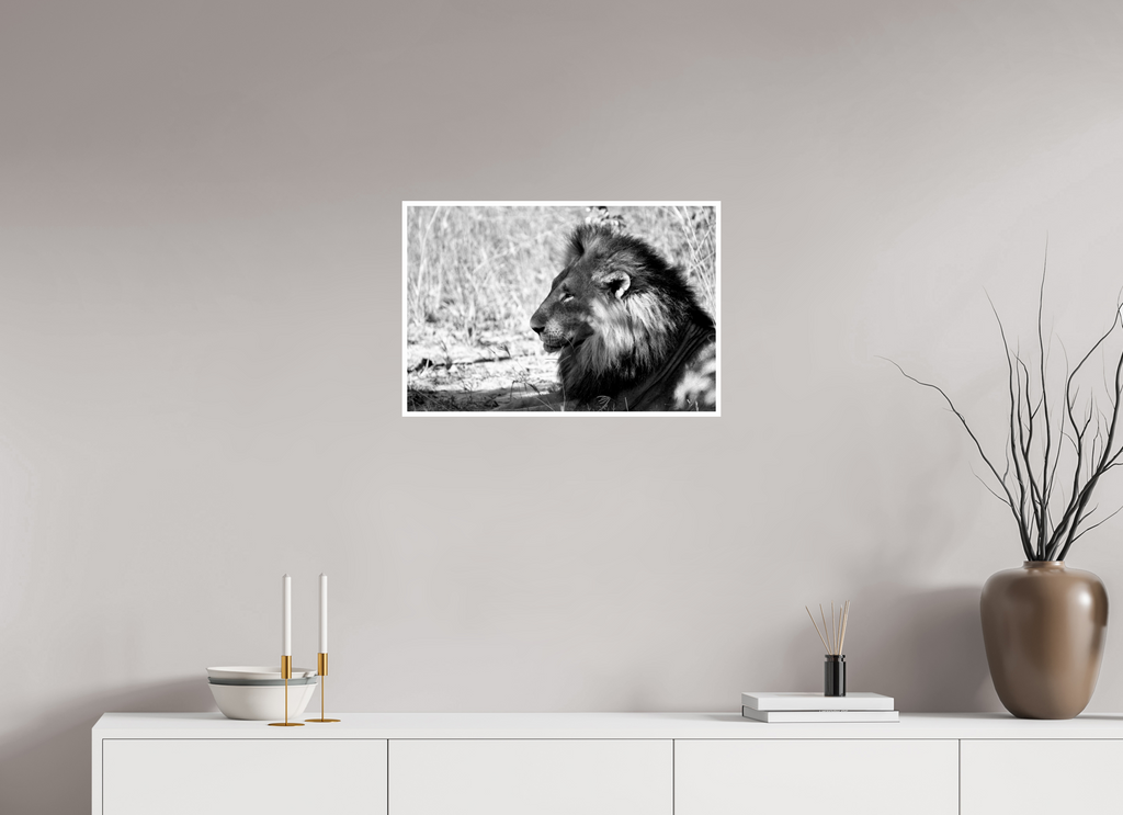 24 x 16″, Ilford Baryta Paper Portrait of an African Lion