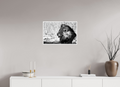 24 x 16″, Ilford Baryta Paper Portrait of an African Lion
