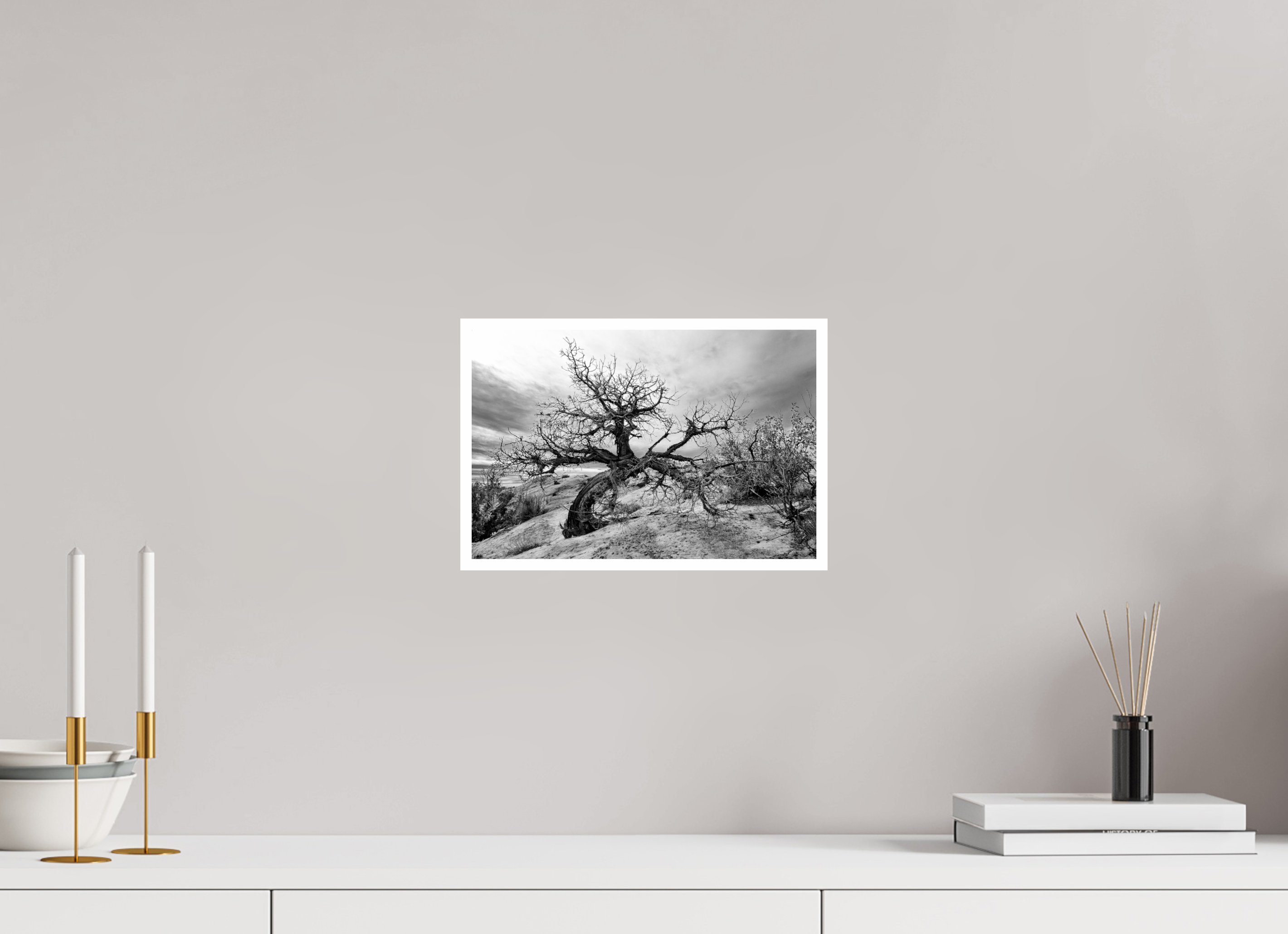 12 x 8″, Ilford Baryta Paper Twisted and Still Standing