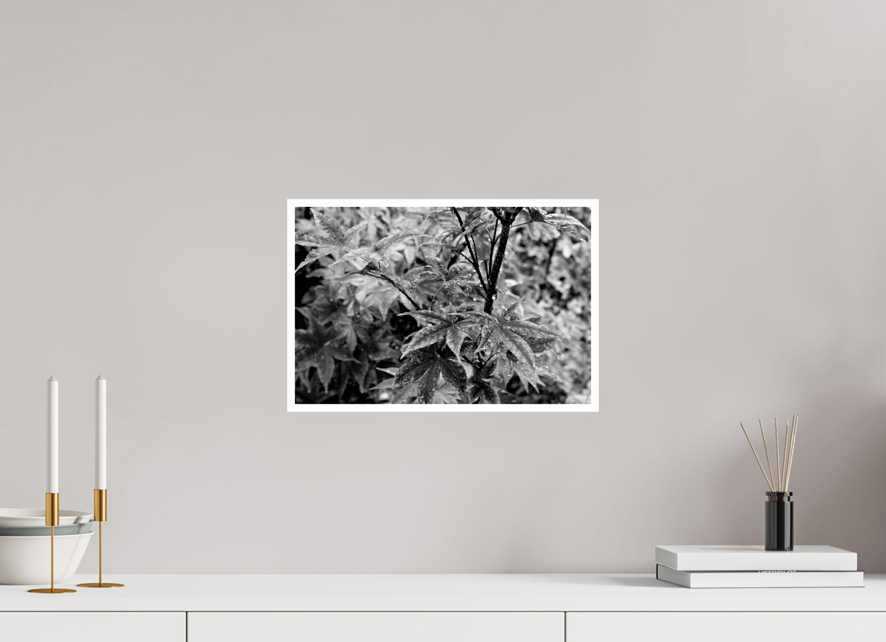 15 x 10″, Ilford Baryta Paper Japanese Elm Raindrops