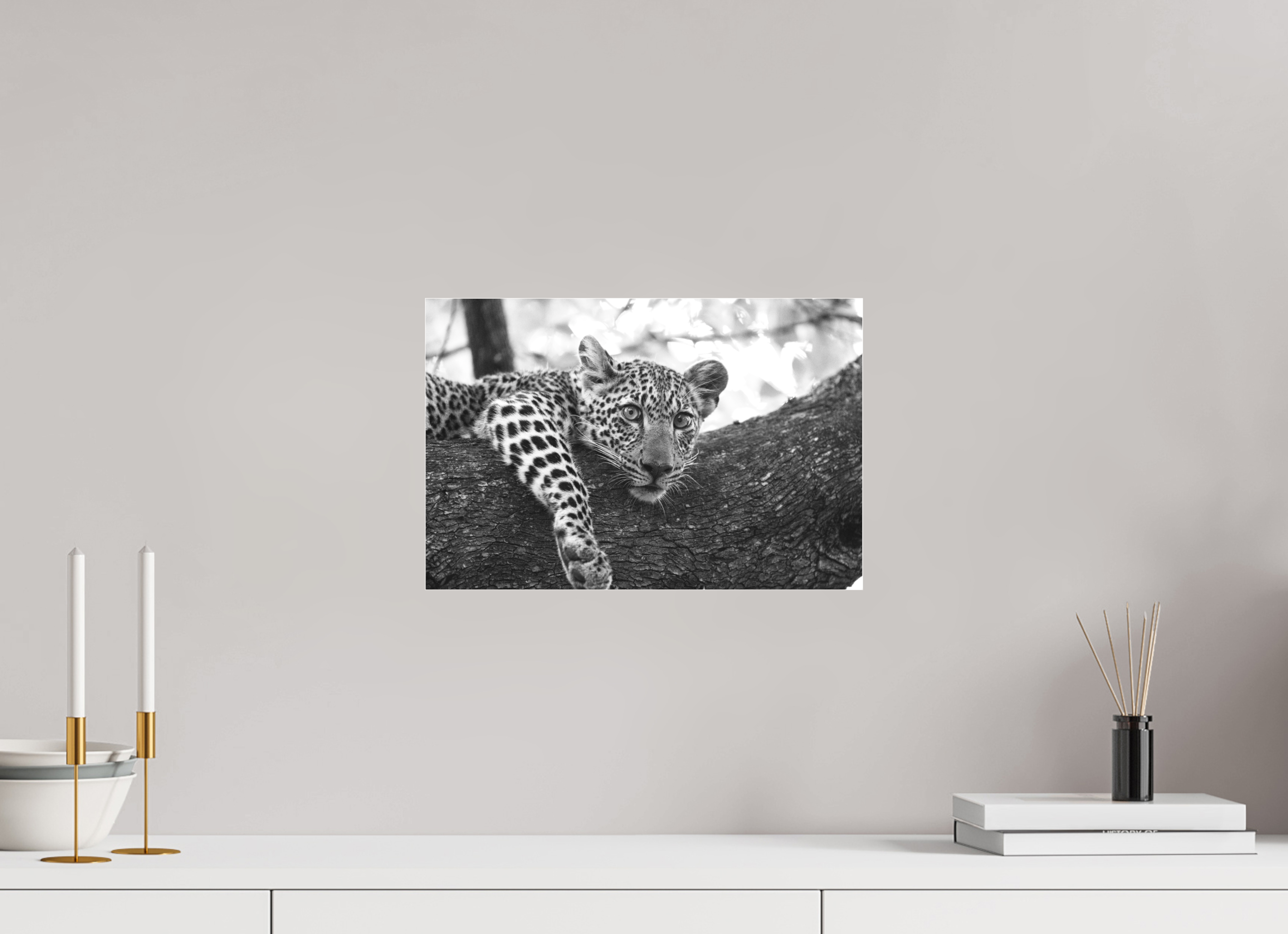 15 x 10″, Ilford B&W Under Acrylic: matte Sovereign