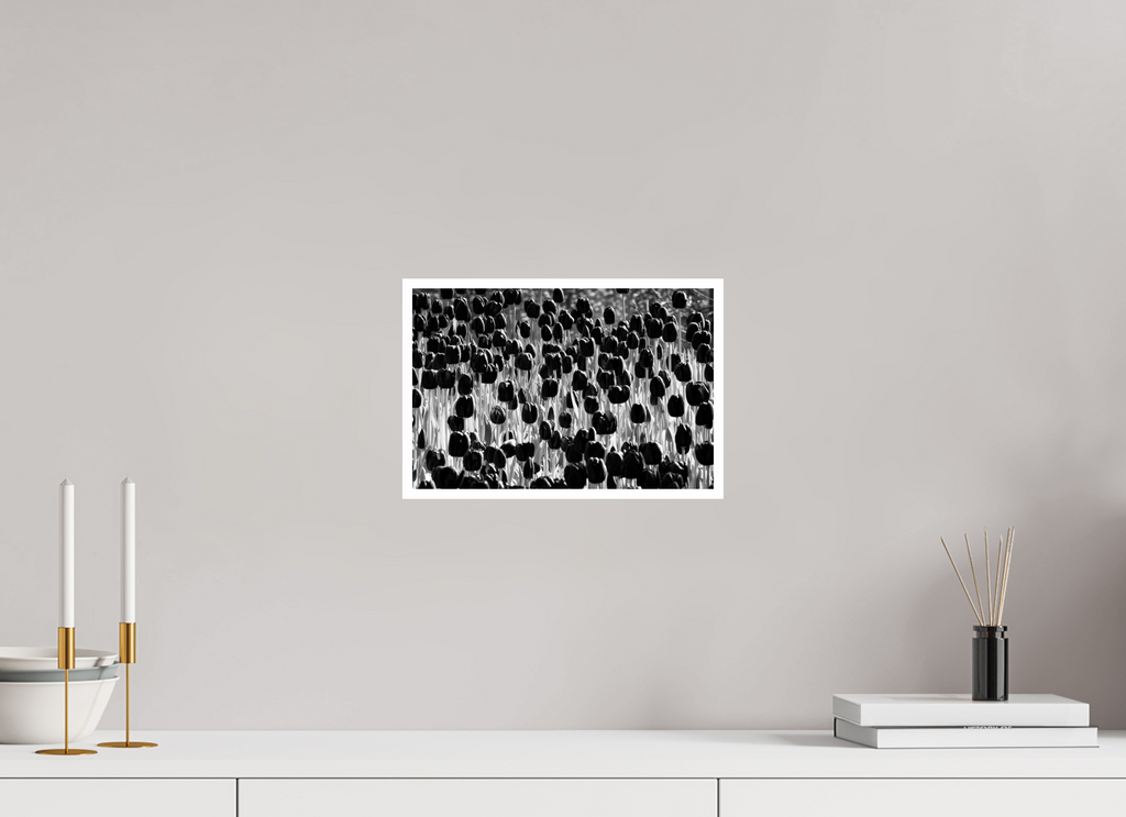 12 x 8″, Ilford Baryta Paper First to Rise