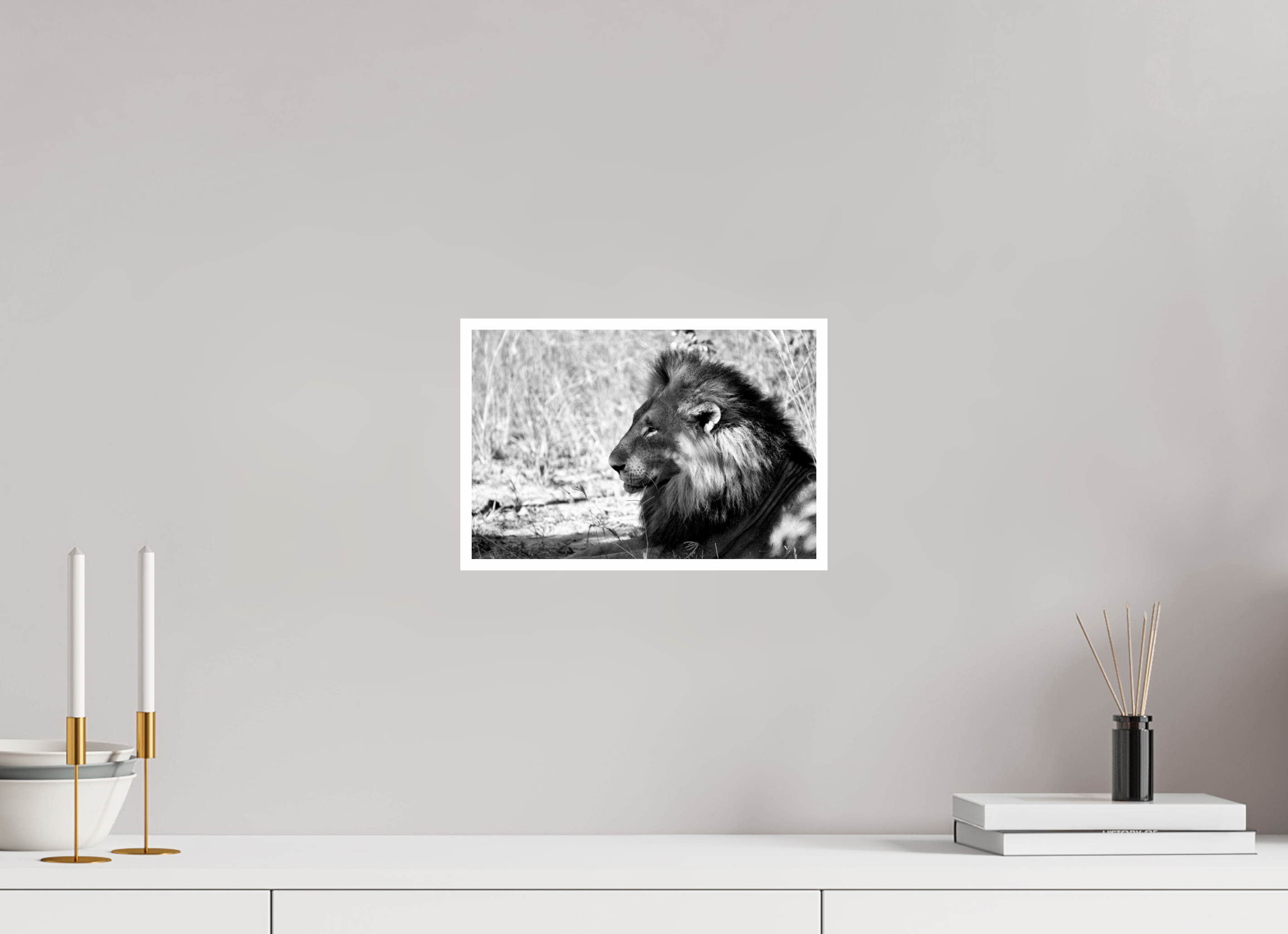12 x 8″, Ilford Baryta Paper Portrait of an African Lion