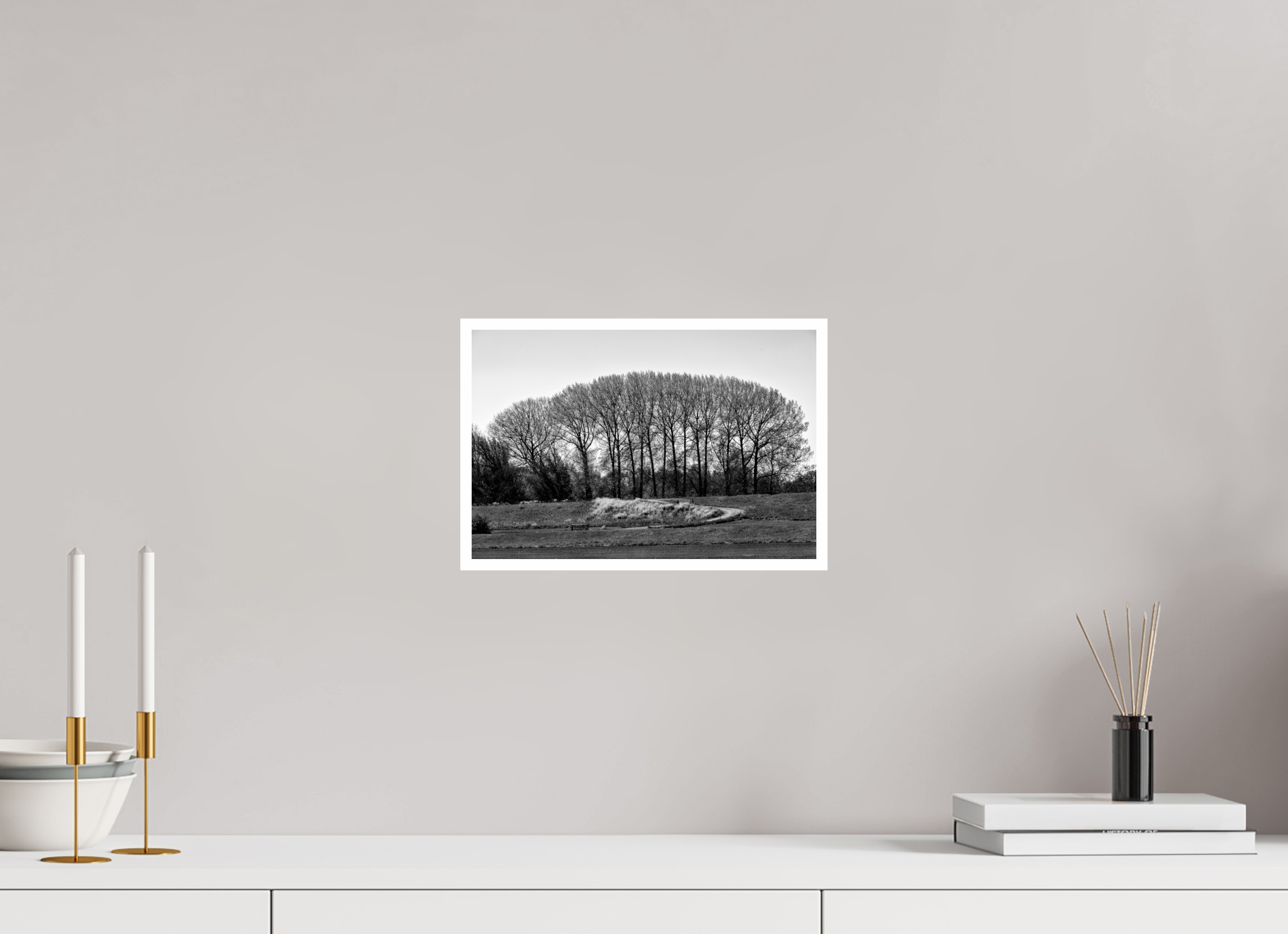 12 x 8″, Ilford Baryta Paper Netherlands Tree Row