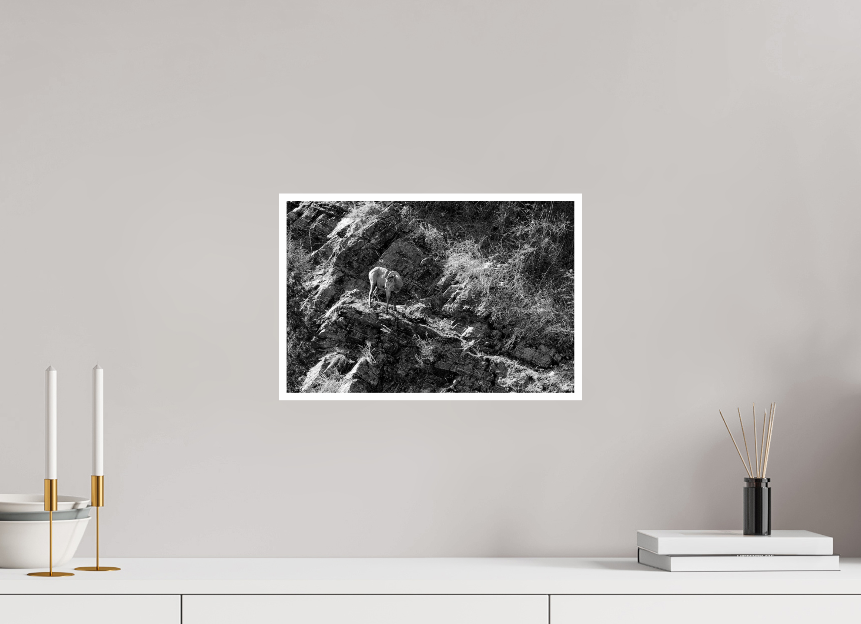 15 x 10″, Ilford Baryta Paper Bighorn sheep on cliff face