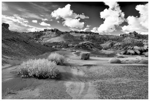 Main image Bisti Creek Bed