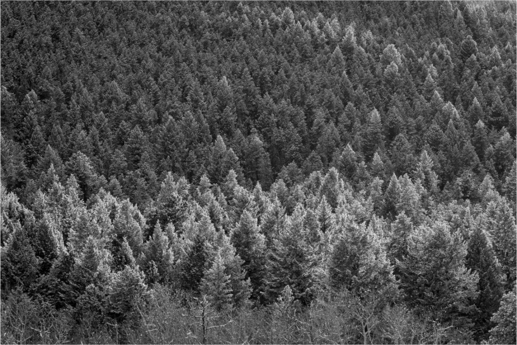 Main image Last Light