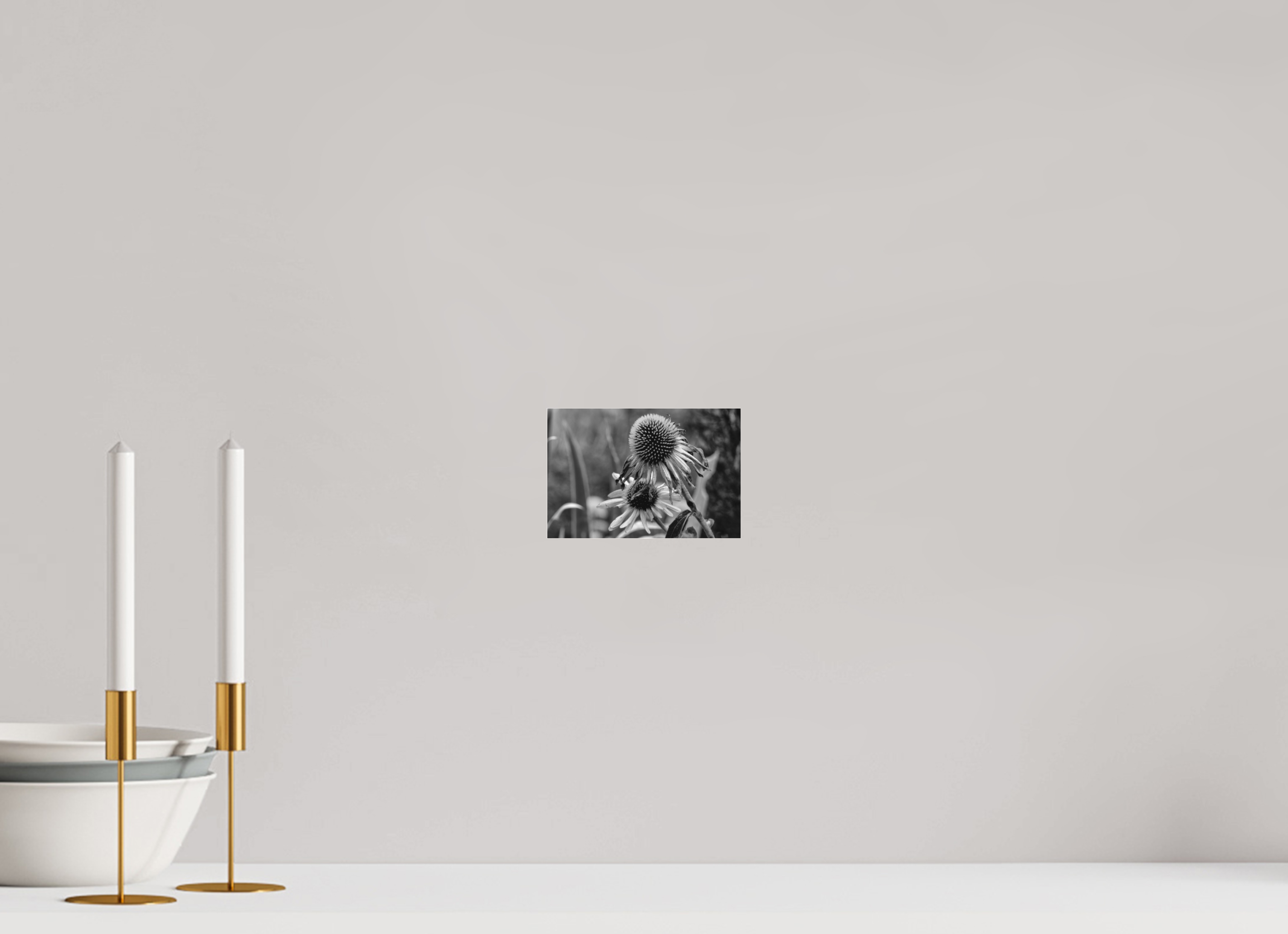 6 x 4″, Ilford B&W Under Acrylic: matte Between Bloom and Shadow