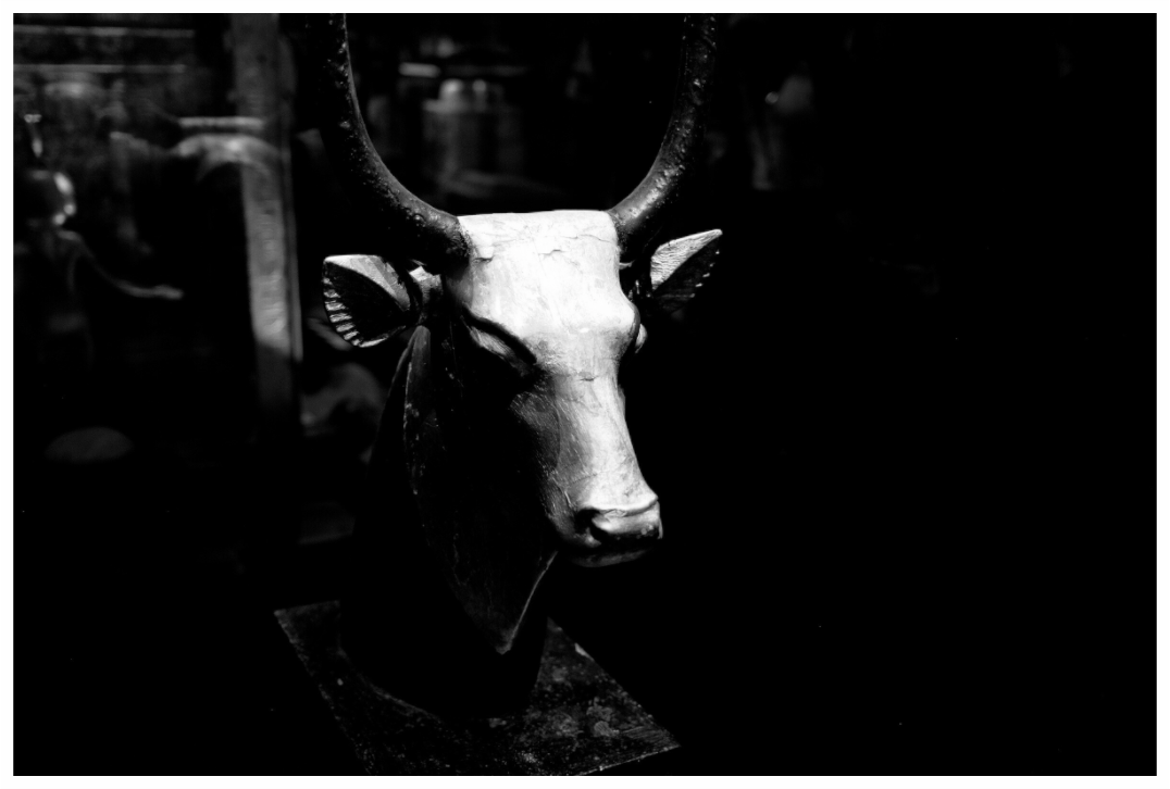 Main image Golden Cow - King Tut's Tomb