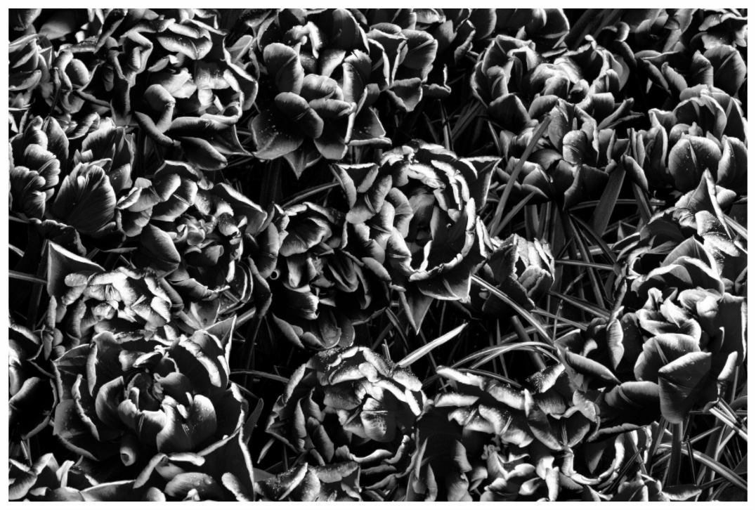 Main image Organized Chaos