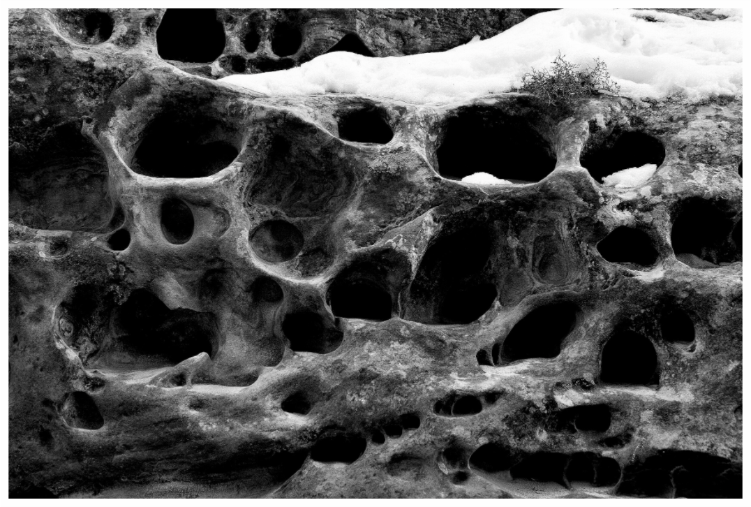 Main image Carved by Wind, Read by Imagination