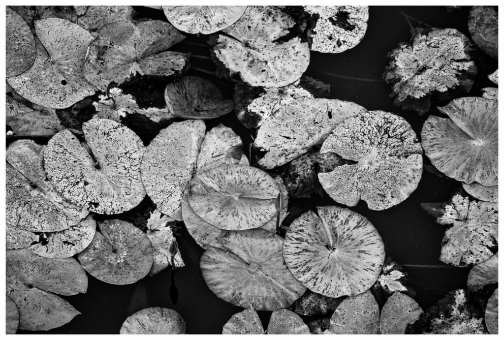 Main image Floating Silence