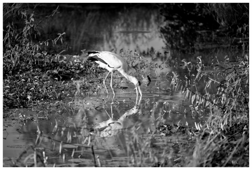 Main image Fishing!