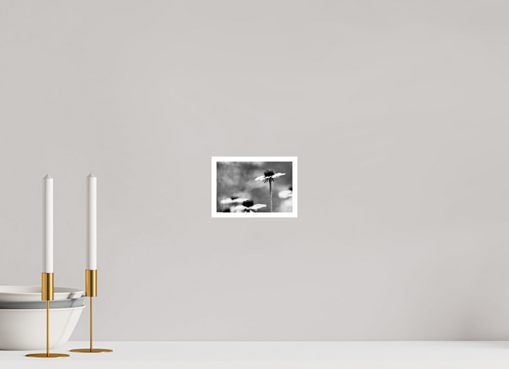 6 x 4″, Ilford Baryta Paper Rising Above