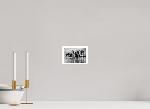 6 x 4″, Ilford Baryta Paper Elephant family