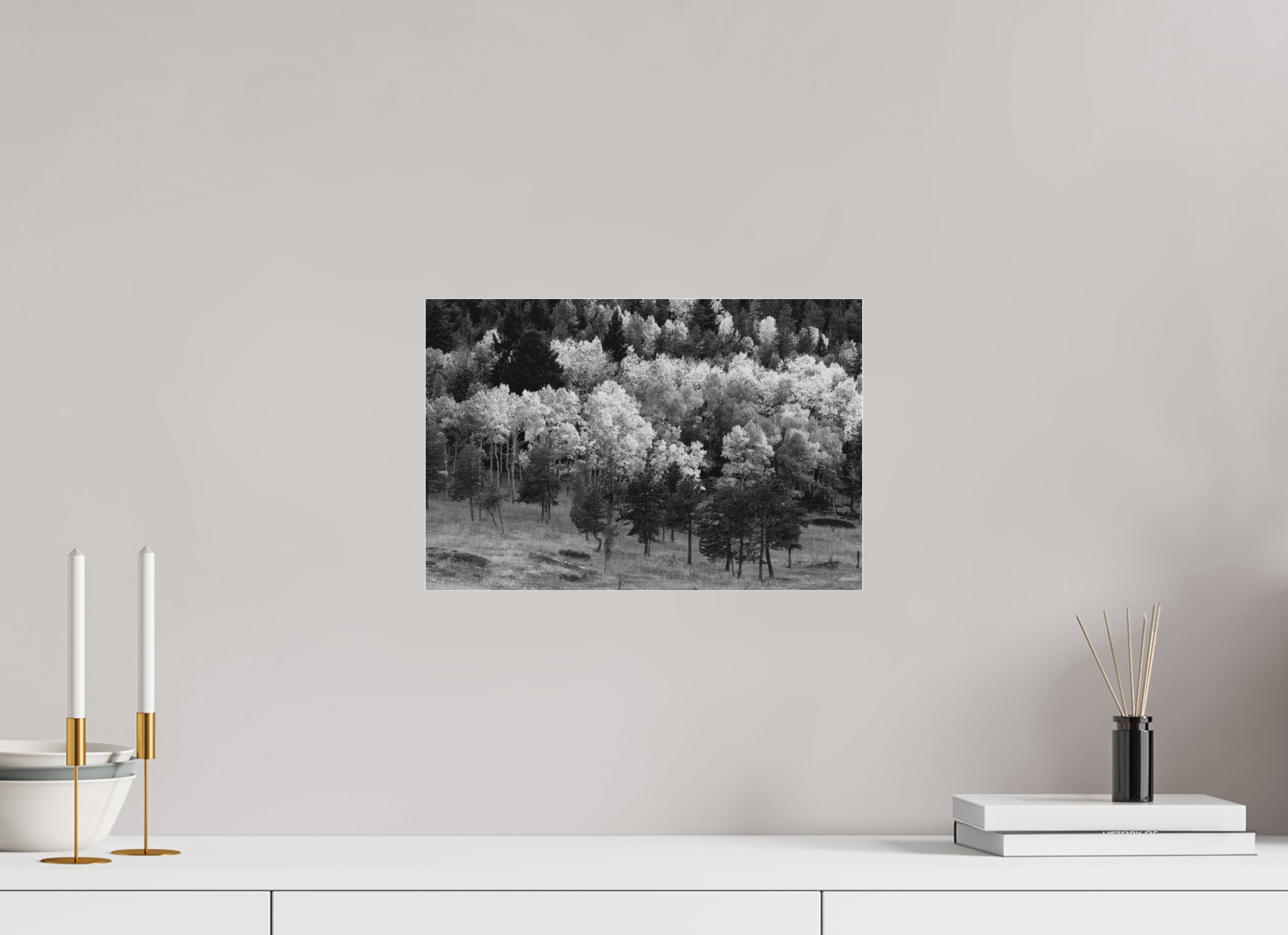 15 x 10″, Ilford B&W Under Acrylic: matte The Season Breathes Light