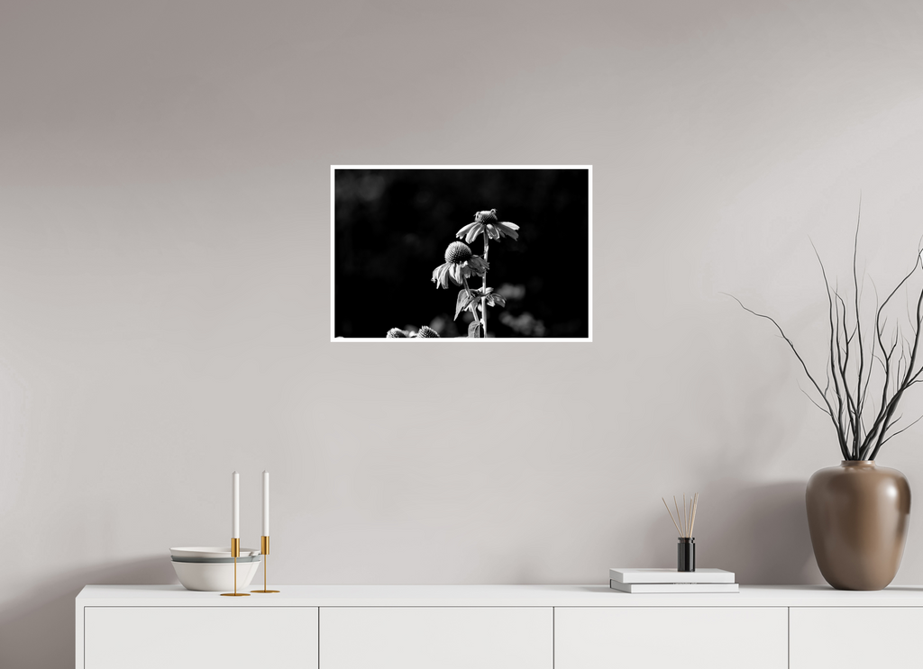 24 x 16″, Ilford Baryta Paper Late summer flowers