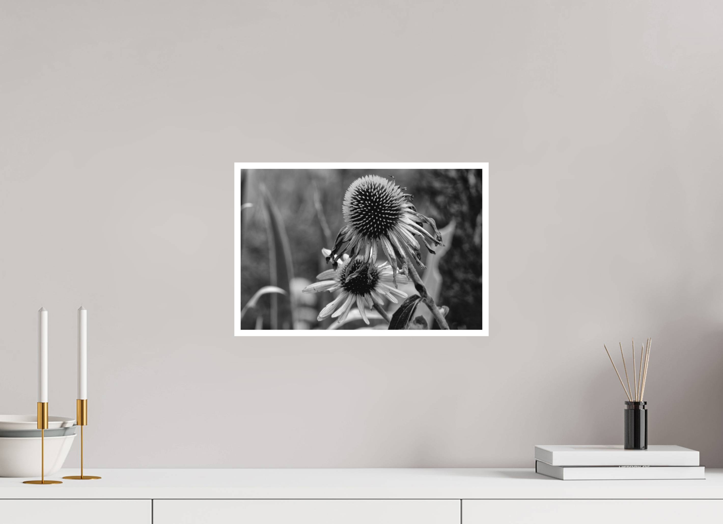 15 x 10″, Ilford B&W Paper: matte Between Bloom and Shadow