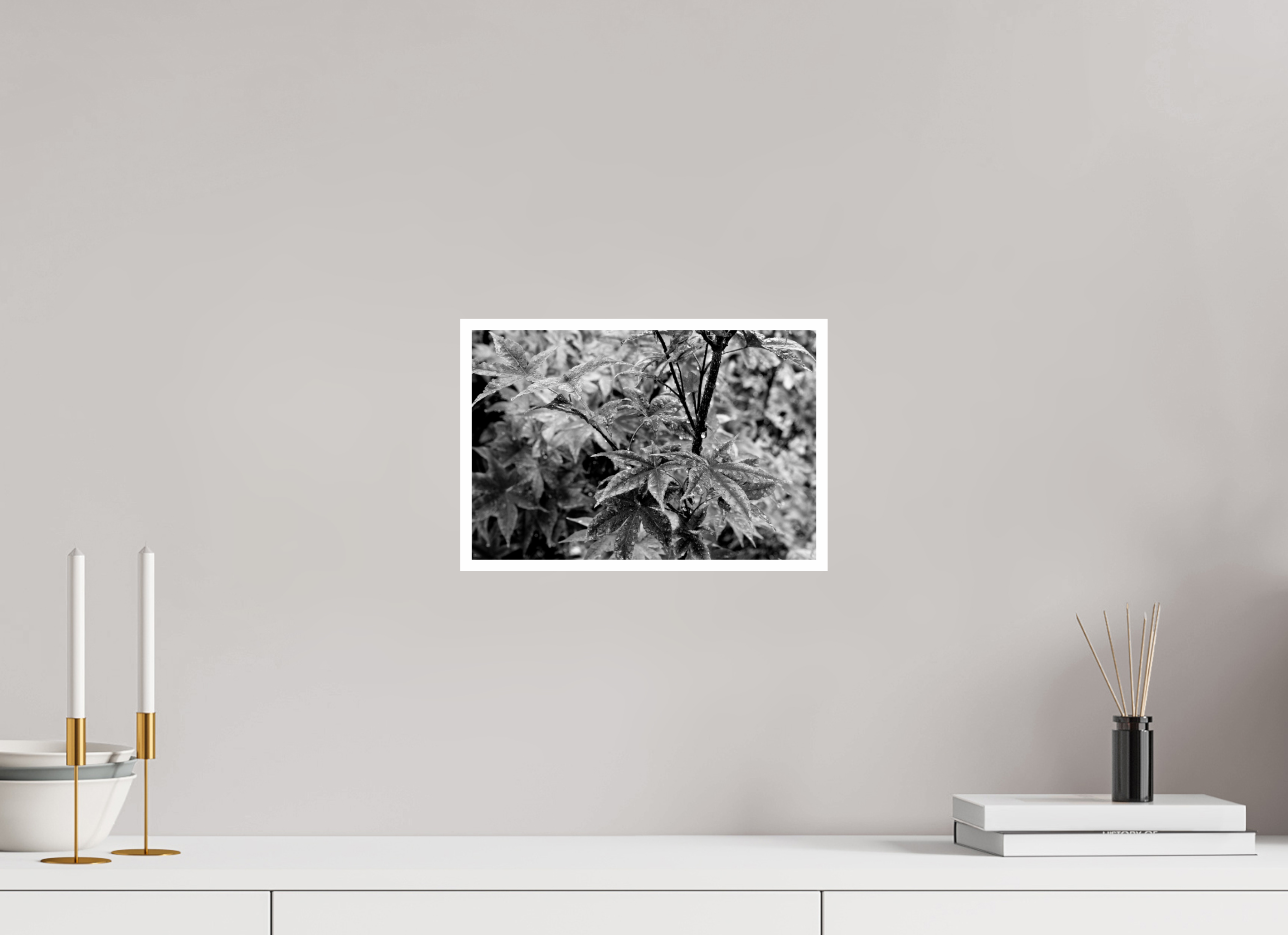 12 x 8″, Ilford Baryta Paper Japanese Elm Raindrops