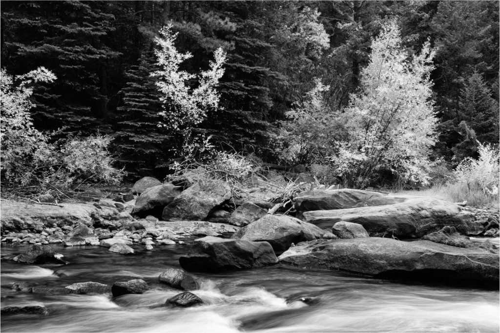 Main image In the Current of Seasons