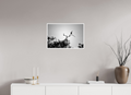 24 x 16″, Ilford Baryta Paper Larsonavis Absurdus