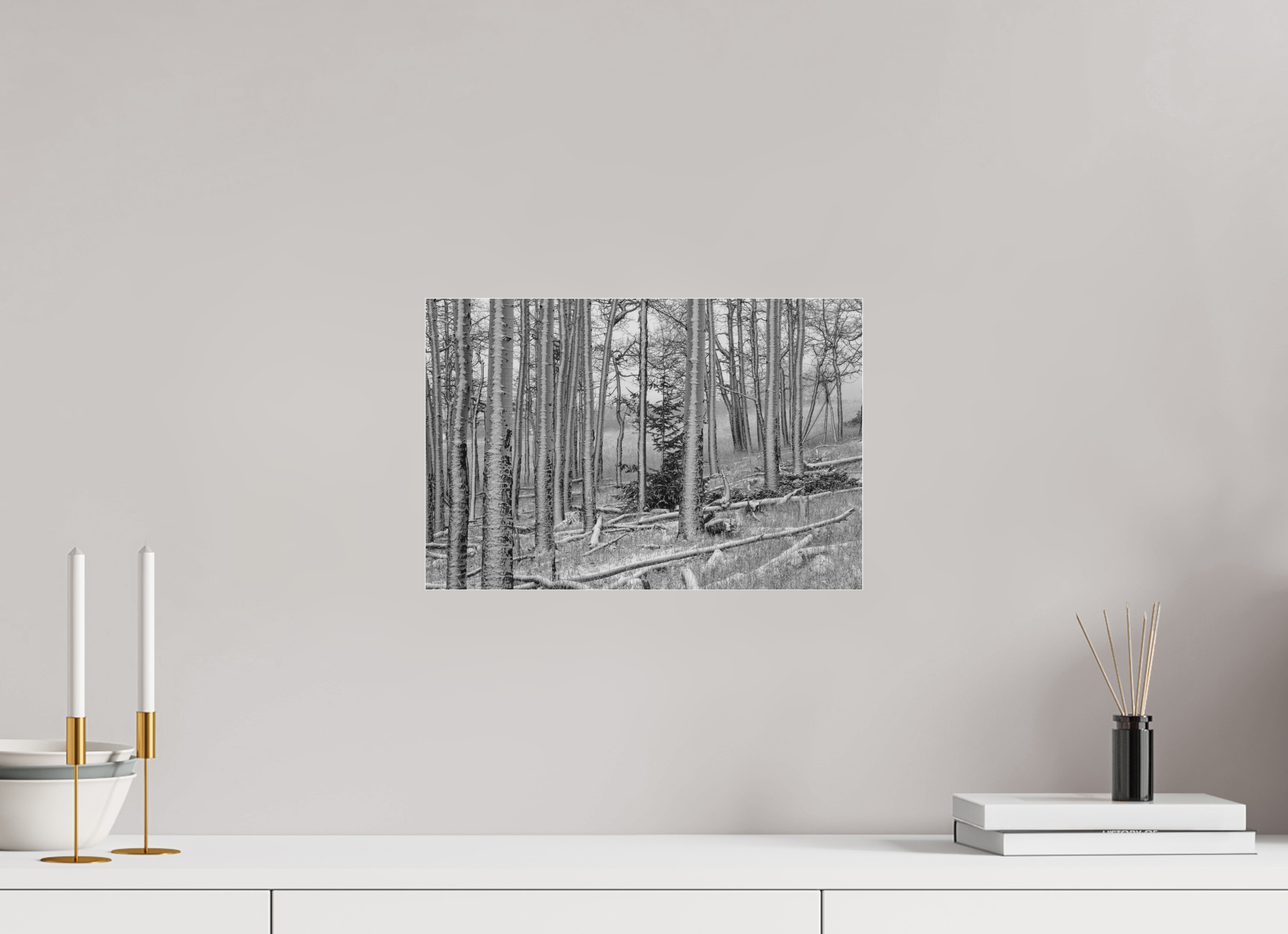 15 x 10″, Ilford B&W Under Acrylic: matte Winter's Brush