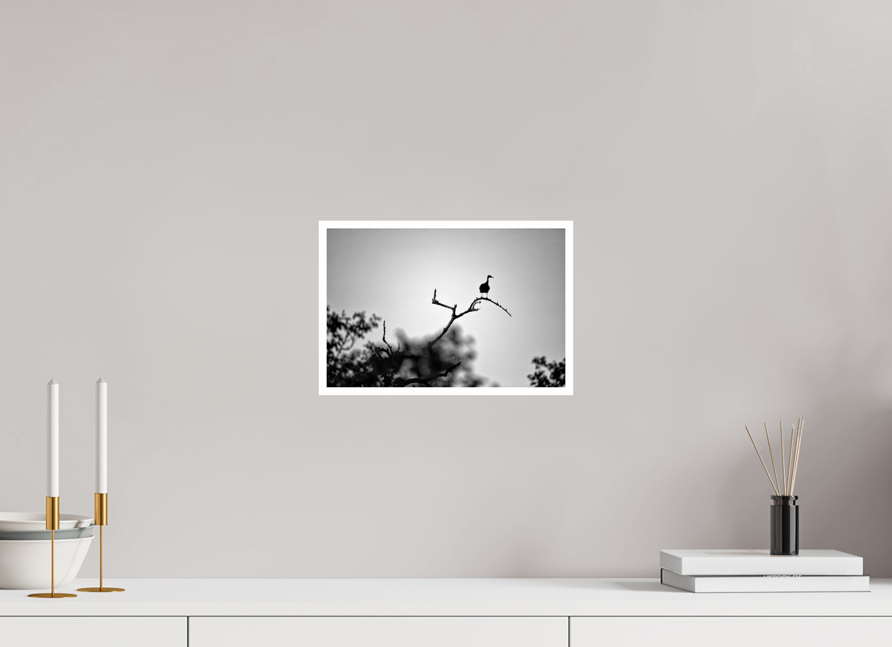 12 x 8″, Ilford Baryta Paper Larsonavis Absurdus