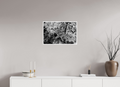 24 x 16″, Ilford Baryta Paper Japanese Elm Raindrops