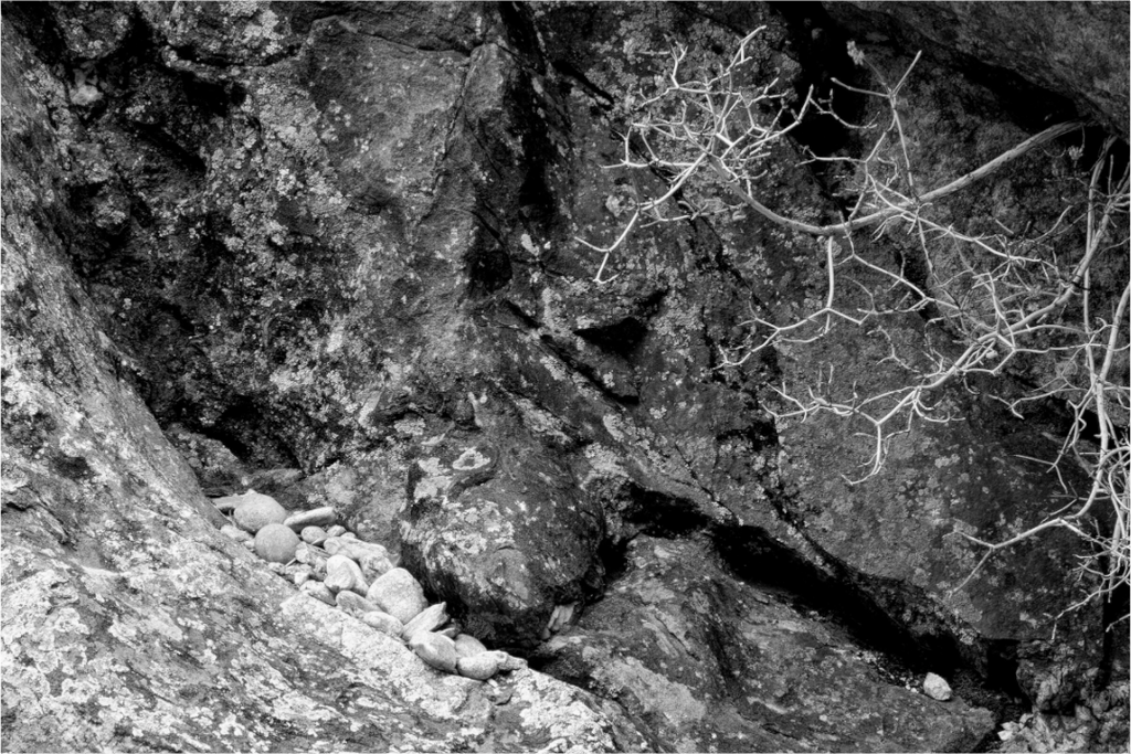 Main image Repository