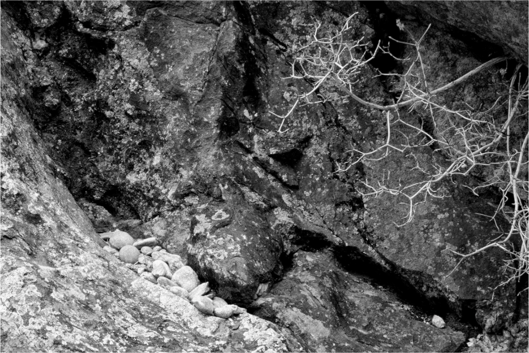 Main image Repository